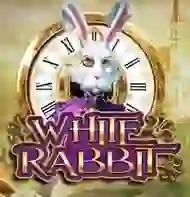 White Rabbit