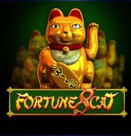 Fortune 8 Cat
