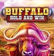 Buffalo Hold and Win