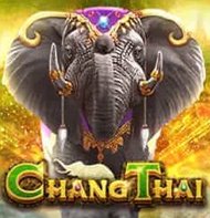 Chang Thai