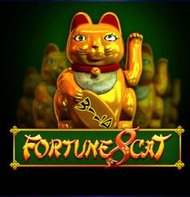 Fortune 8 Cat