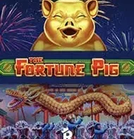 Fortune Pig