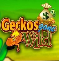 Gekos gone Wild
