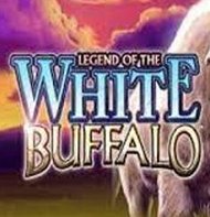 Wild Buffalo