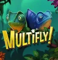 Multifly
