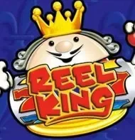 Reel King