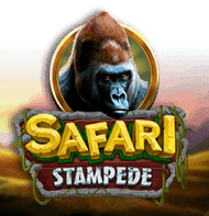 Safari Stampede