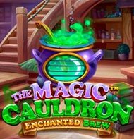 The Magic Cauldron