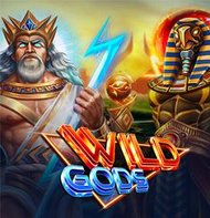 Wild Gods