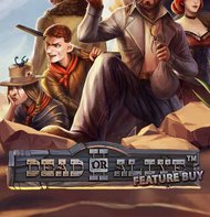 Dead or Alive 2 Feature