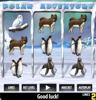 Polar Adventure