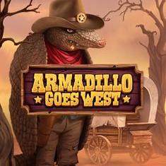 Armadillo Goes West