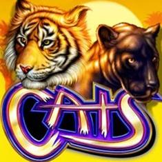 Cats slot game