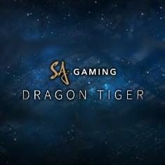 Dragon Tiger slot game