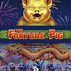 Fortune Pig