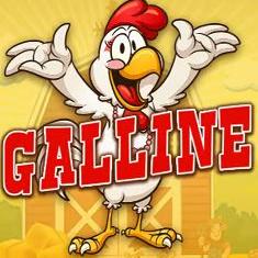 Galline slot game