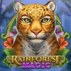 Rainforest Magic