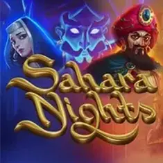 Sahara Nights