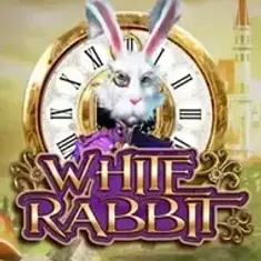 White Rabbit