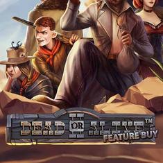 Dead or Alive 2 Feature slot game