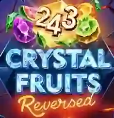 243 Fruits Reversed logo