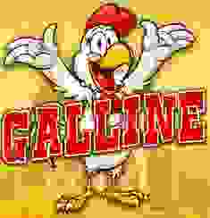 Galline logo