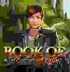 Romeo and Julia logo