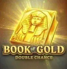 Book of Gold Double slot