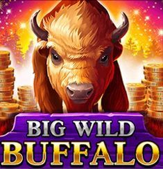 Big Wild Buffalo logo