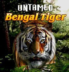 Untamed Bengal Tiger logo