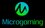 Microgaming