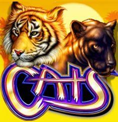 Cats slot game