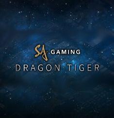 Dragon Tiger slot game
