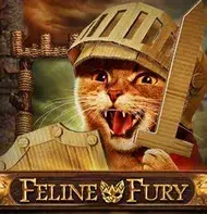 Feline Fury