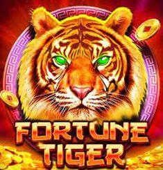 Fortune Tiger slot game