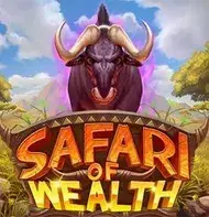 Safari of Wealth