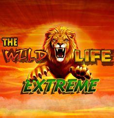 The Wild Life Extreme slot game