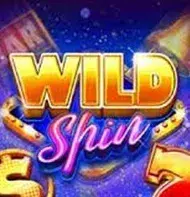 Wild Spin