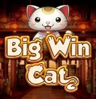 Big Win Cat