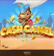 Cash Camel