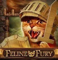 Feline Fury