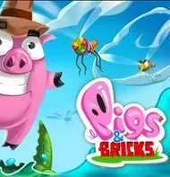 Pigs and Bricks