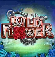 Wild Flower