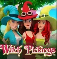 Witch Pickings